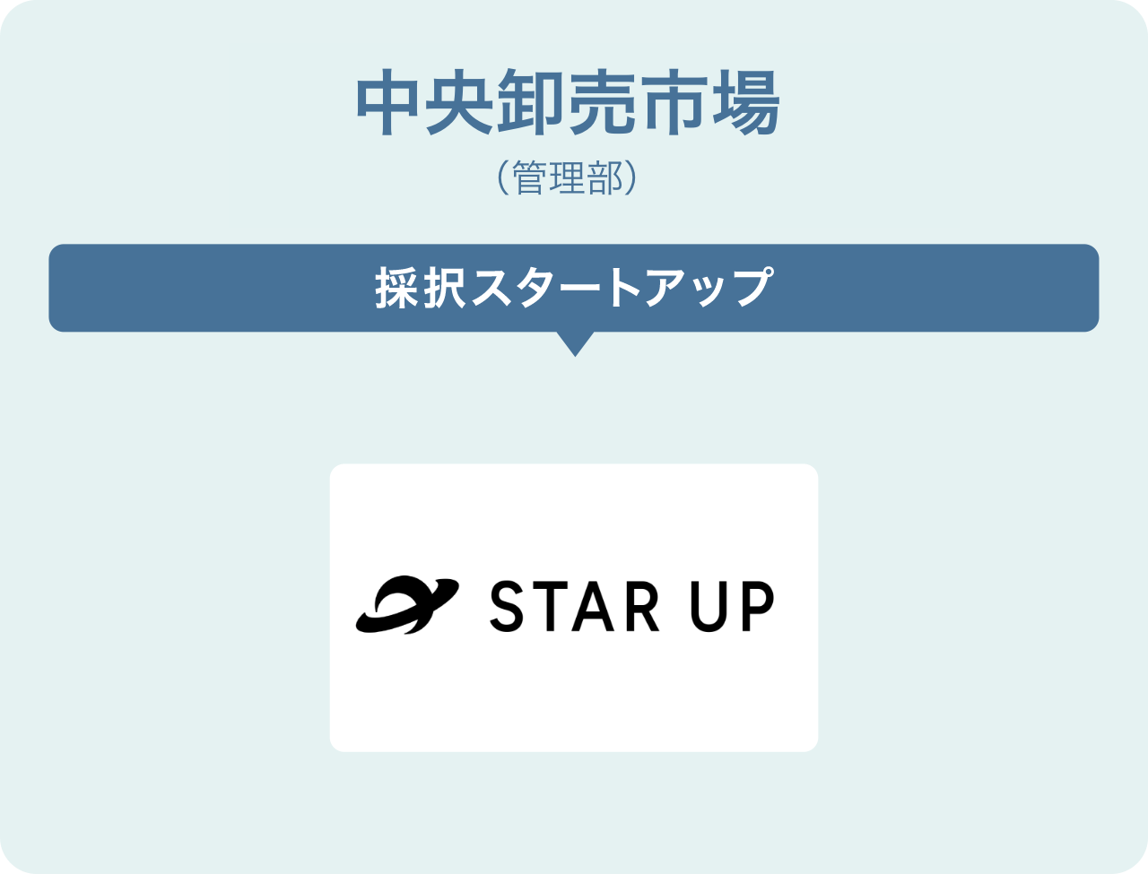 中央卸売市場(管理部)